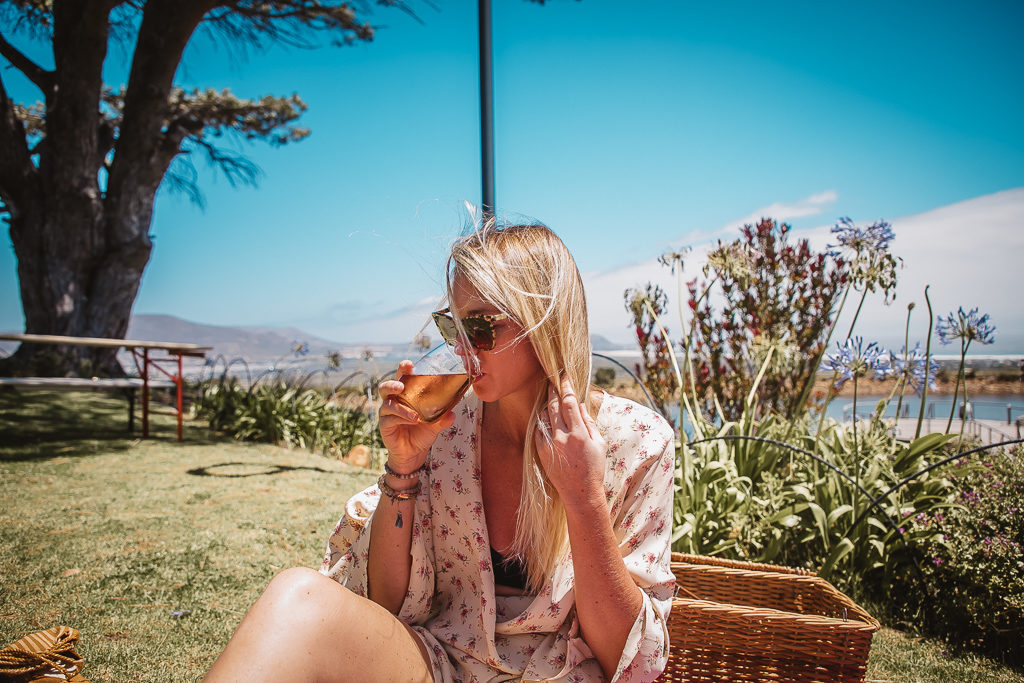 picnic at cape point vineyard, cape town south africa