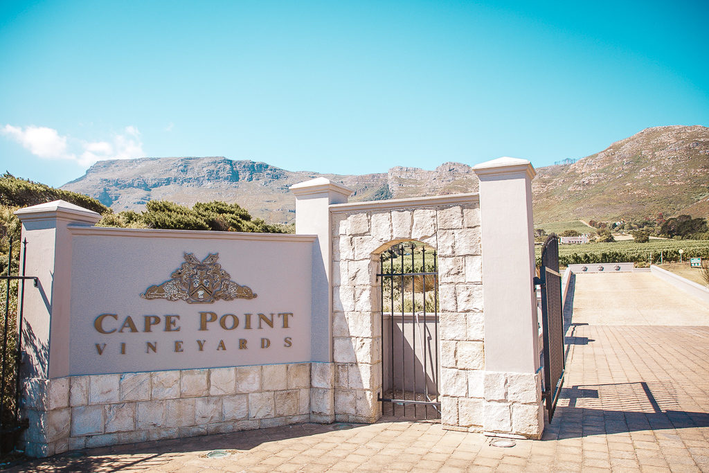 cape point vineyards, cape town south africa