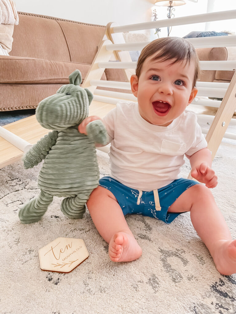 Best Baby & Toddler Boy Basics. Baby boy comfy shorts and tee in front of wooden Montessori style play gym holding stuffed dinosaur toy.